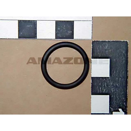 Inel 20.7x2.6 0273600 AMAZONE