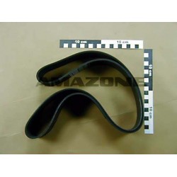 Curea zimtata 24PJx1397 EG008 AMAZONE