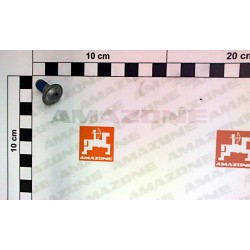 Flanged button head screw DD767 AMAZONE