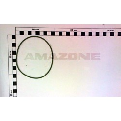 Inel 100.0x2.50  FC022 AMAZONE