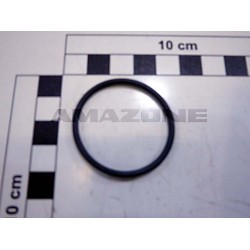 Inel 35.0x2.50 FC012 AMAZONE