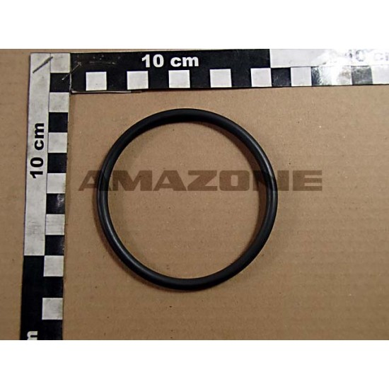 Inel Filtru 76.0x5.5 FC204 AMAZONE Inel Filtru 76.0x5.5 FC204 AMAZONE