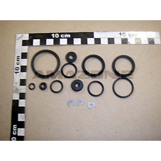 Kit Garnituri reparatie ZF1024 AMAZONE