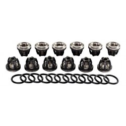 Set Supape 250/280 ZF062 AMAZONE