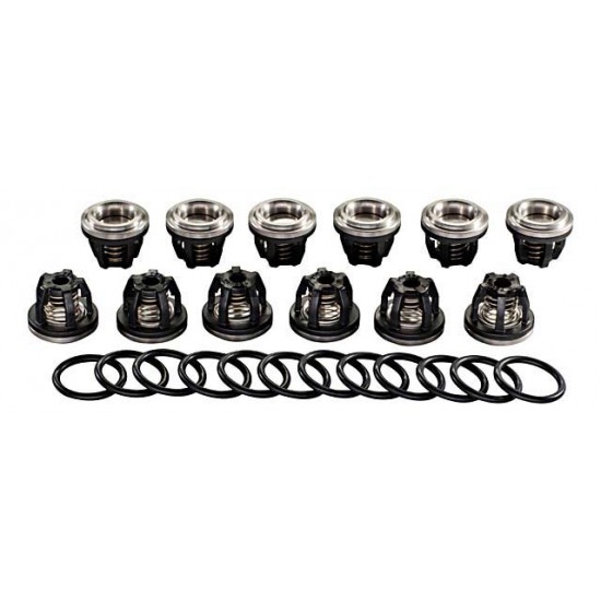 Set Supape 250/280 ZF062 AMAZONE