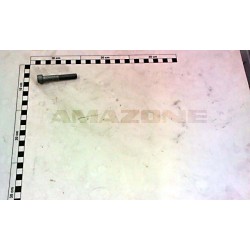 Surub Cap Cilindric M10x65 DA121 AMAZONE
