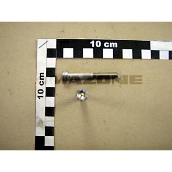 Surub Cap Cilindric M6x50 DA558 AMAZONE