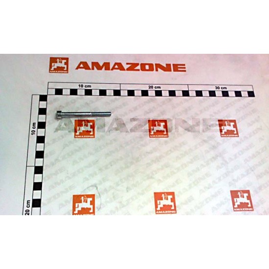 Surub Cap Cilindric M6x65 DA469 AMAZONE Surub Cap Cilindric M6x65 DA469 AMAZONE