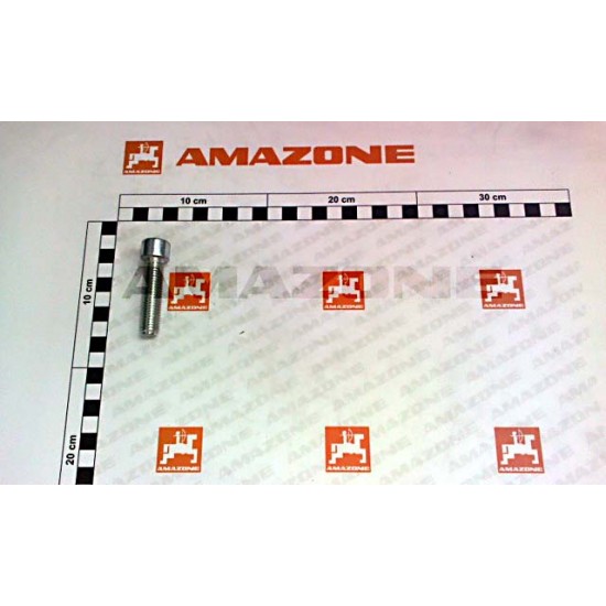 Surub Cap Cilindric Reglaj M12x50 DA565 AMAZONE Surub Cap Cilindric Reglaj M12x50 DA565 AMAZONE