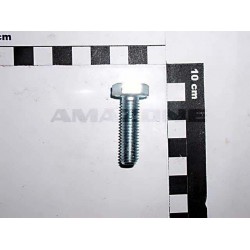 Surub Cap Hex M10x35 DC068 AMAZONE