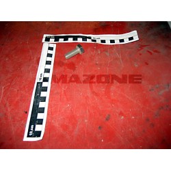 Surub Cap Hex M12x30 DC152 AMAZONE