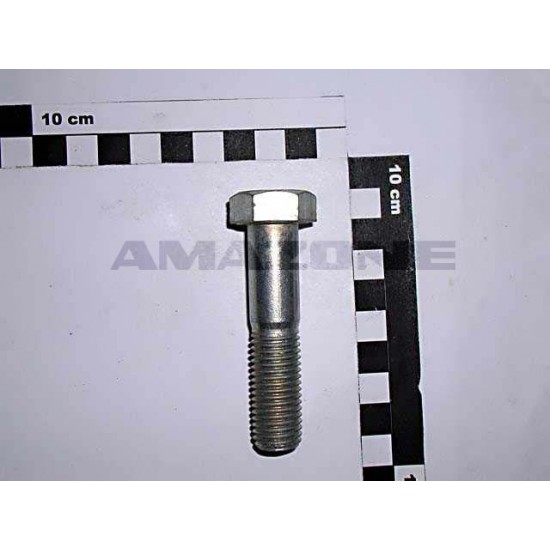 Surub Cap Hex M16x70 DB386 AMAZONE Surub Cap Hex M16x70 DB386 AMAZONE