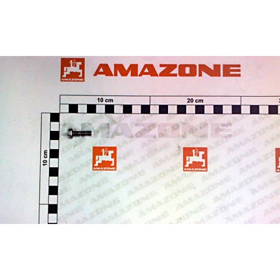 Surub Cap Hex M6x20 DC019 AMAZONE