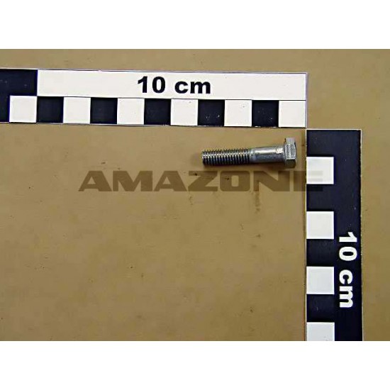 Surub Cap Hex M6x30  DB001 AMAZONE