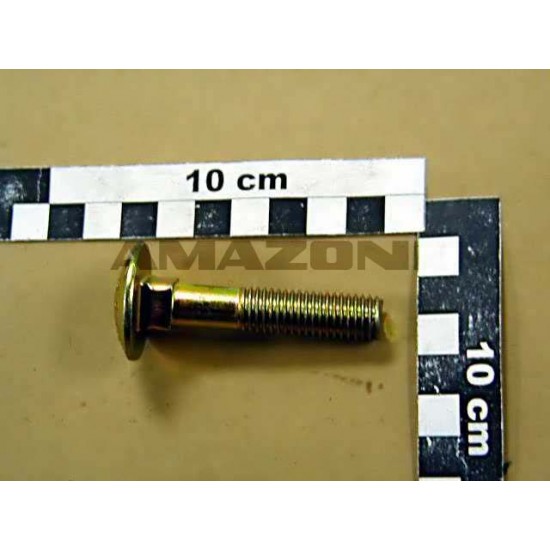 Surub Cap Torbant M12x60  DA492 AMAZONE
