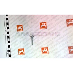 Surub Cap Torbant M6x35  DA575 AMAZONE