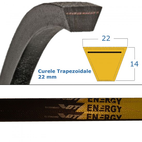 Curea Trapezoidala 22x2900 Li DTE ENERGY