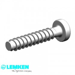 Surub 40x20 Autoforant 3010064 LEMKEN