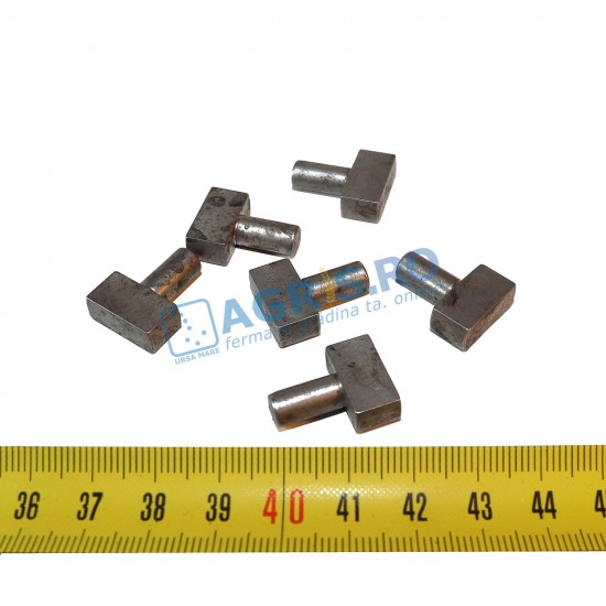 Patina BCS 58043086