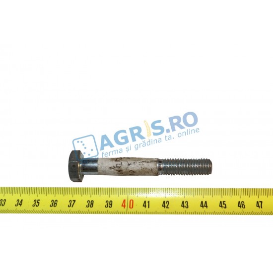 Surub M10x70 BCS 31111217