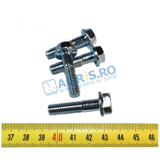 Surub Special M8x35 BCS  31112165