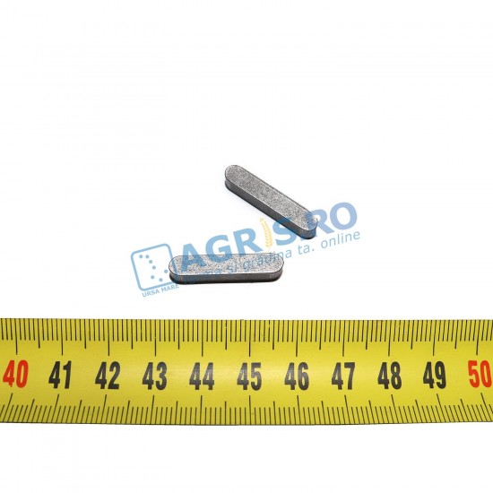 Pana Ambreiaj YN0643410 Motocultor Bertolini