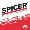 DANA SPICER