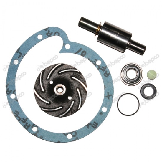 Kit reparatie pompa Apa Case Ih Case IH H3055285R94 3055285R95 R3055285KT S63075 25/131-28 BEPCO