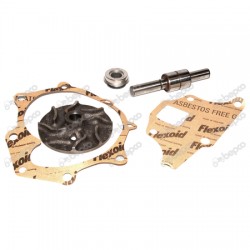 Kit reparatie pompa Apa Case Case 83902197  VPE2014 24/131-17 BEPCO