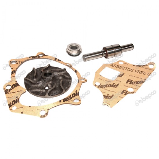 Kit reparatie pompa Apa Case Case 83902197  VPE2014 24/131-17 BEPCO