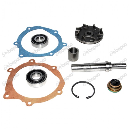 Kit Reparatie Pompa Apa Landini Massey Ferguson 3641382M91 748164M91 U7LW0024 U7LW0123 30/131-48 31/131-48 BEPCO