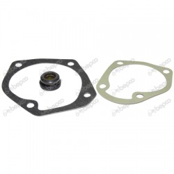 Kit Reparatie pompa apa Zetor 37/Z2052K BEPCO