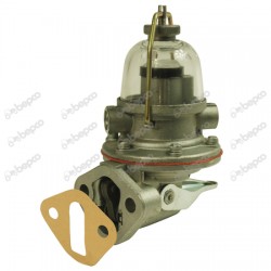 Pompa Alimentare David Brown K311939 K909944 K944997 VPD3018 20/100-57 BEPCO