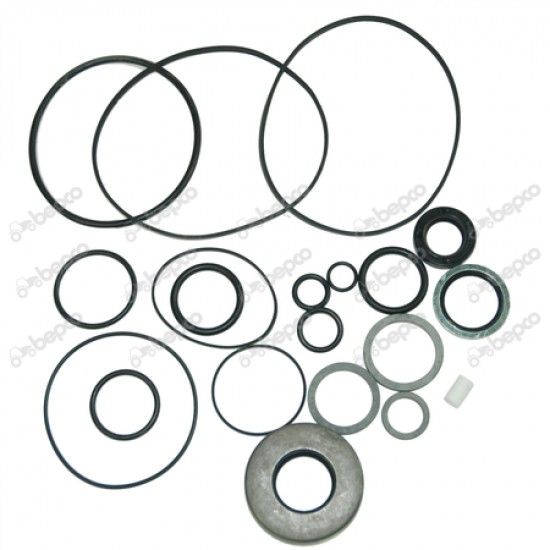 Set Garnituri pompa hidraulica Ford 24/621-8 BEPCO