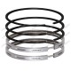 Set segmenti motor Ford Massey Ferguson 3640239M1 737174M91 957E6149 957E6149A PER41158063 VPB4010 30/34-3 42021624 BEPCO