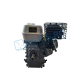 Motor Motosapa Media Line MS6580/4 7CP