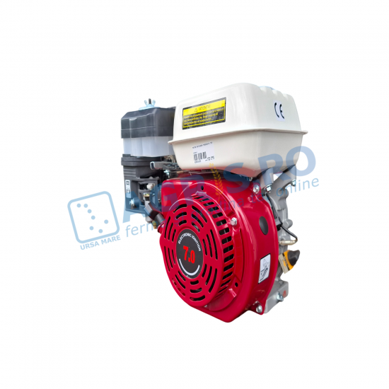 Motor Motosapa Media Line MS6580/4 7CP