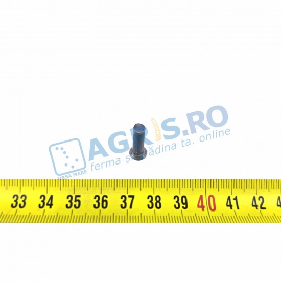 NIT o5*20 Motocultor Bertolini R1504706 