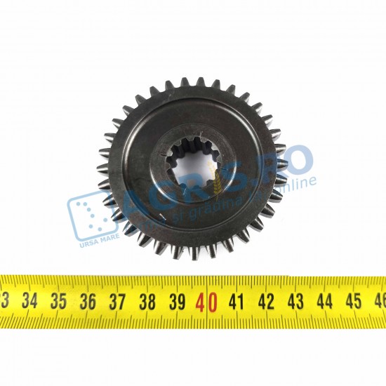 Pinion Bertolini CV 401-403 Motocultor Bertolini F1250864R 