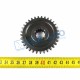 Pinion Bertolini CV 401-403 Motocultor Bertolini F1250864R 