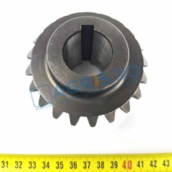 Pinion Z21 cositoare poloneza LISICKI (model nou)