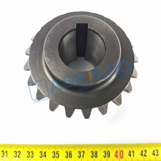 Pinion Z21 cositoare poloneza LISICKI (model nou)