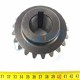 Pinion Z21 cositoare poloneza LISICKI (model nou)