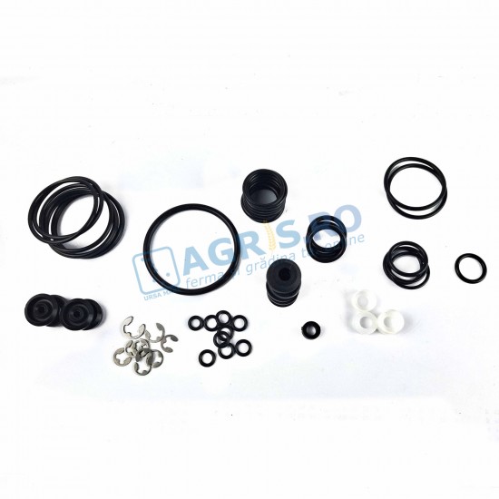 Set Garnituri Pentru Masina De Erbicidat Duro TOLVERI 3